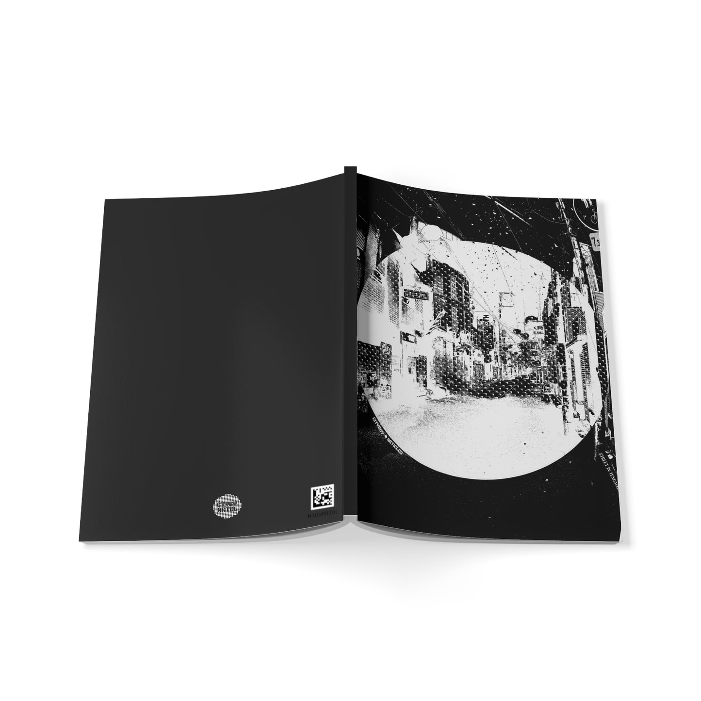 Fisheye Perspective Journal